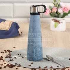 Термос DANIKS нерж 0,45л Квантинум SL-45ZL3