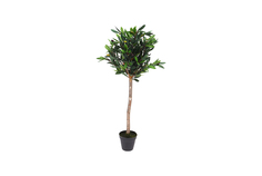дерево олива в горшке 94 (garda decor) зеленый 94 см.