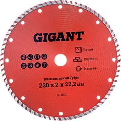 Алмазный диск Gigant