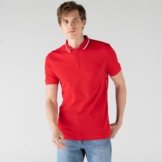 Мужское хлопковое поло Lacoste с контрастным воротником