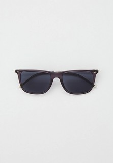 Очки солнцезащитные Polo Ralph Lauren PH4163 532087