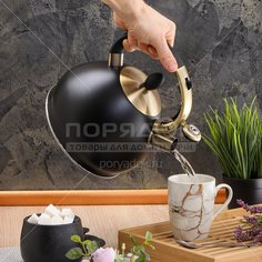 Чайник нерж 3л со свистком, метал.черная ручка ИНДУКЦИЯ Daniks MSY-079