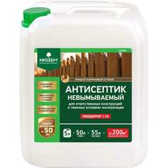 Невымываемый антисептик PROSEPT