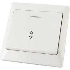 Одноклавишный выключатель TDM