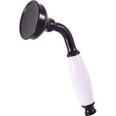 Душевая лейка RavSlezak