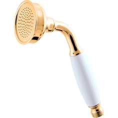 Душевая лейка RavSlezak