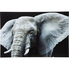 Картина face elefant (kare) серый 120x80x4 см.