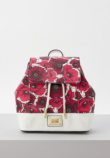 Рюкзак Cavalli Class 