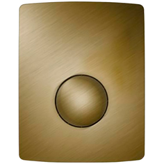 Клавиша смыва Sanit