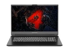 Ноутбук Dream Machines RG3050Ti-17RU25