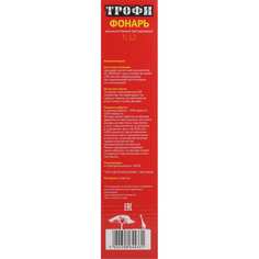 Аккумуляторный фонарь ТРОФИ