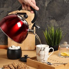 Чайник из нержавеющей стали Daniks MSY-021R красный со свистком, 2.5 л