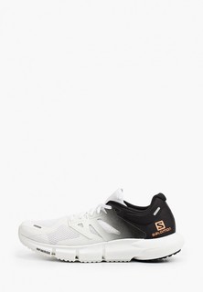 Кроссовки Salomon PREDICT2