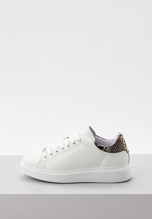 Кеды Cavalli Class 