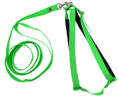 Комплект для кошек 1001З поводок + шлейка капроновый с фетром зеленый до 45 см Zooexpress