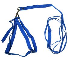 Комплект для собак 1015С поводок + шлейка капроновый синий 65 см Zooexpress