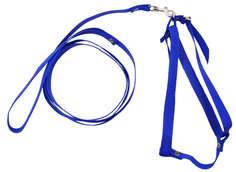 Комплект для кошек 1003С поводок + шлейка капроновый синий до 45 см Zooexpress