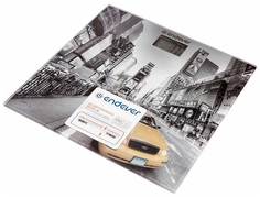 Весы напольные электронные Endever Aurora-557