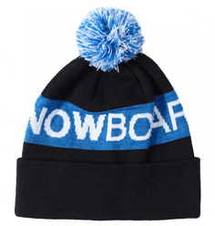 Шапка-Бини Chester DC Shoes