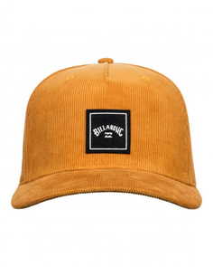 Кепка-Бейсболка Stacked Snapback Billabong