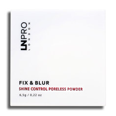Пудра компактная для лица LN PROFESSIONAL FIX & BLUR POWDER прозрачная с матирующим эффектом тон 101