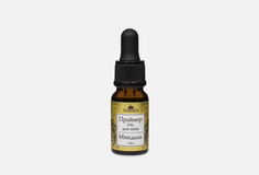 Праймер СПИВАКЪ