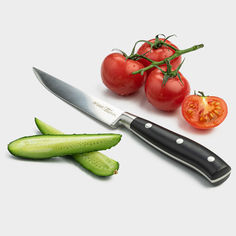 Ножи кухонные нож TALLER Аспект 12,5см универсальный нерж.сталь, пластик