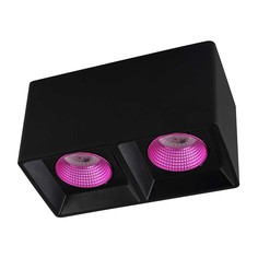 Светильник Потолочный светильник Denkirs DK3020BPI DK3085-BK+PI
