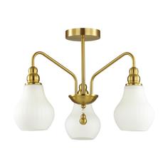 Люстра Потолочная люстра Lumion Moderni Eleonora 4562/3C