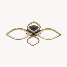 Люстра Потолочная светодиодная люстра Lumion Ledio Honey 4580/99CL