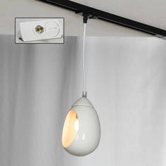 Светильник Трековый светильник однофазный Lussole LOFT Track Lights LSP-8034-TAW