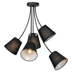 Люстра Подвесная люстра Lussole Lgo Lafayette LSP-8266