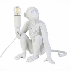 Настольная лампа Прикроватная лампа Evoluce Tenato SLE115104-01