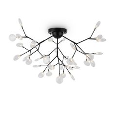 Люстра Потолочная люстра Freya Florencia FR5049CL-36B