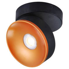 Спот Светодиодный спот Lussole Loft LSP-8017