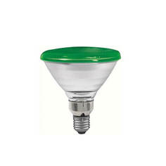 Лампочка Лампа накаливания Paulmann PAR38 Е27 80W зеленая 27283
