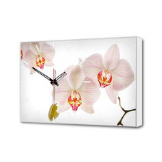 Часы Настенные часы Белые Орхидеи Timebox Toplight 37х60х4см TL-C5019
