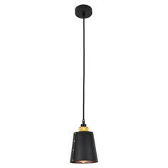 Светильник Подвесной светильник Lussole Loft LSP-9861