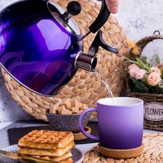 Чайник нержавеющая сталь, 3 л, со свистком, зеркальный, ручка пластиковая, Daniks, индукция, фиолетовый, MSY-021P