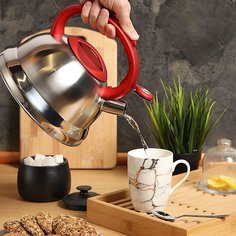 Чайник нержавеющая сталь, 3 л, со свистком, матовый, ручка с силиконовым покрытием, Daniks, красный, MSY-013R