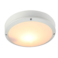 Светильник Уличный светильник Arte Lamp City A8154PF-2WH