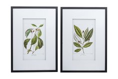 Набор панно в раме Флора Hoff