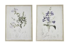 Набор панно Флора Hoff