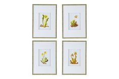 Набор панно в раме Флора Hoff