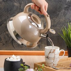 Чайник нержавеющая сталь, 3 л, со свистком, ручка с силиконовым покрытием, Daniks, бежево-серый, M-016