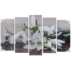 Картина модульная, 125х80 см, 5 модулей, V-166