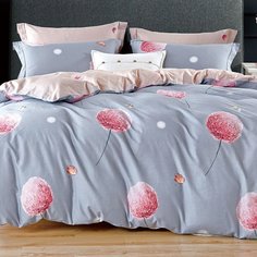 Постельное белье 2-спальное, простыня 200х220 см, 2 наволочки 70х70 см, пододеяльник 175х215 см, Cleo, поплин, коллекция Pure Cotton, 20/161-PC