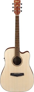 PF10CE OPN Ibanez