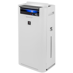Очиститель воздуха Sharp KC-G41RW