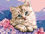 Картина по номерам Цветной Милый котенок (30 х 40) на подрамнике ex5281